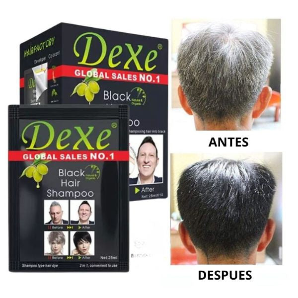Shampoo Instantáneo Tinte Negro