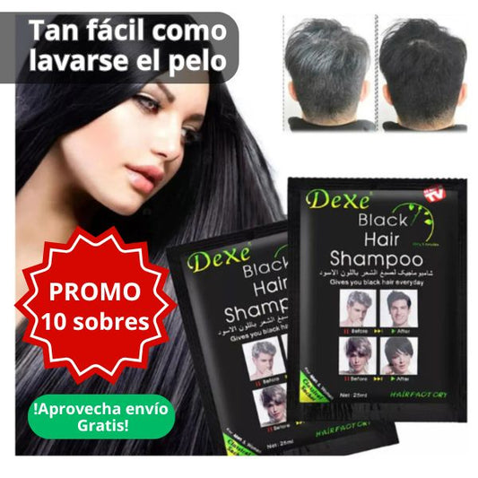 Shampoo Instantáneo Tinte Negro